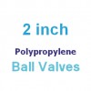 Polypropylene 2 inch Valves